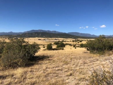 Very Hard to Find acreage with NO HOA or Covenants.  This on Hollydot Golf Course in Colorado - for sale on GolfHomes.com, golf home, golf lot