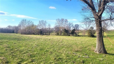 38 ACRES Pasture LAND,  with Private Water Well, Electricity on on Cassville Golf Club in Missouri - for sale on GolfHomes.com, golf home, golf lot