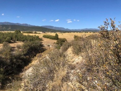 Very Hard to Find acreage with NO HOA or Covenants.  This on Hollydot Golf Course in Colorado - for sale on GolfHomes.com, golf home, golf lot