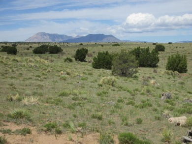 This could be the 5 AC site you've been looking for. Presenting on Walsenburg Golf Club in Colorado - for sale on GolfHomes.com, golf home, golf lot