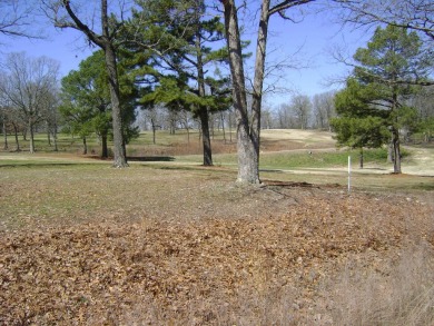 GREAT, AFFORDABLE HOUSE ON TURKEY MOUNTAIN GOLF COURSE.  It has on The Course At Turkey Mountain in Arkansas - for sale on GolfHomes.com, golf home, golf lot