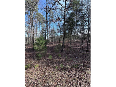 first time buy in fee of $2,000 owed by buyer at closing.  Buyer on Ponce De Leon Golf Course in Arkansas - for sale on GolfHomes.com, golf home, golf lot