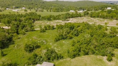 Nestled in one of the most sought-after gated subdivisions, this on Woodson Bend Resort in Kentucky - for sale on GolfHomes.com, golf home, golf lot