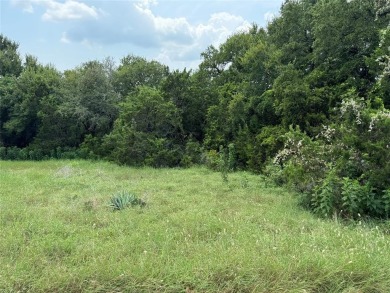Interior lot located just a short walk to the marina waterfront on White Bluff Resort - Old Course in Texas - for sale on GolfHomes.com, golf home, golf lot