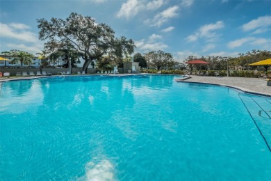Welcome to your Florida retreat in the highly sought-after 55+ on On Top Of The World Golf Course in Florida - for sale on GolfHomes.com, golf home, golf lot