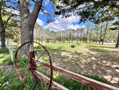 Dont miss this incredible opportunity to own a slice of paradise on Bayside Golf Course in Nebraska - for sale on GolfHomes.com, golf home, golf lot