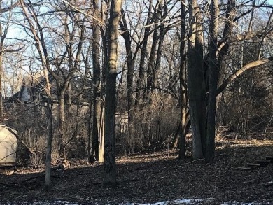 Beautiful 1.9-acre wooded waterfront lot on the main body of on Lake Carroll Golf Course in Illinois - for sale on GolfHomes.com, golf home, golf lot