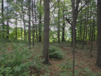 This beautiful lot overlooks the lake and 13th green on the on The Clubs of Olde Mill in Virginia - for sale on GolfHomes.com, golf home, golf lot