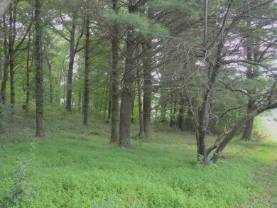 This beautiful lot overlooks the lake and 13th green on the on The Clubs of Olde Mill in Virginia - for sale on GolfHomes.com, golf home, golf lot