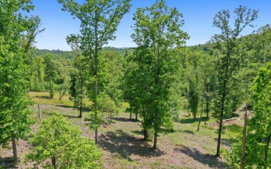 Long range view lot ready to build in this exclusive new upscale on Old Toccoa Farm Golf Club in Georgia - for sale on GolfHomes.com, golf home, golf lot