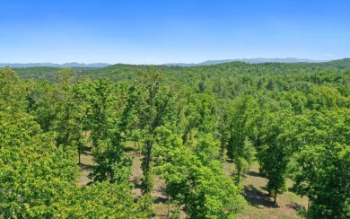 Long range view lot ready to build in this exclusive new upscale on Old Toccoa Farm Golf Club in Georgia - for sale on GolfHomes.com, golf home, golf lot