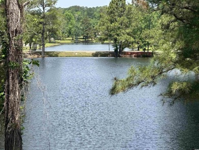 Welcome to 4090 Lake Shore Dr, a stunning BRAND NEW, lakefront on Eagle Nest Golf Club in South Carolina - for sale on GolfHomes.com, golf home, golf lot