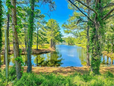 Welcome to 4090 Lake Shore Dr, a stunning BRAND NEW, lakefront on Eagle Nest Golf Club in South Carolina - for sale on GolfHomes.com, golf home, golf lot