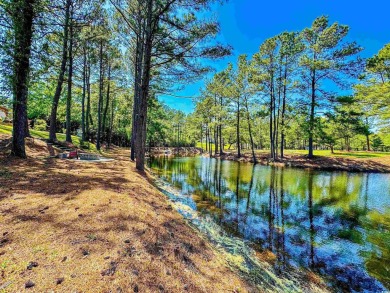 Welcome to 4090 Lake Shore Dr, a stunning BRAND NEW, lakefront on Eagle Nest Golf Club in South Carolina - for sale on GolfHomes.com, golf home, golf lot