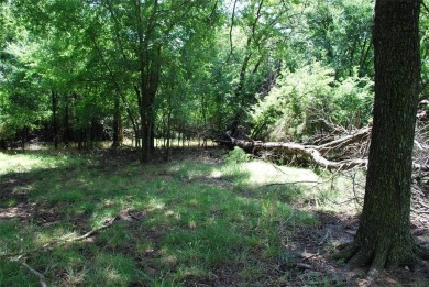 Great golf course lot located at the beginning of Course #11 on on White Bluff Resort - Old Course in Texas - for sale on GolfHomes.com, golf home, golf lot