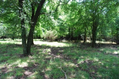 Great golf course lot located at the beginning of Course #11 on on White Bluff Resort - Old Course in Texas - for sale on GolfHomes.com, golf home, golf lot
