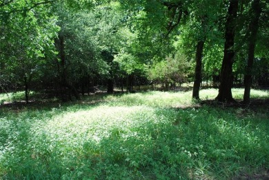 Great golf course lot located at the beginning of Course #11 on on White Bluff Resort - Old Course in Texas - for sale on GolfHomes.com, golf home, golf lot