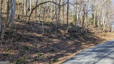 This lot offers great mountain views and Sky Valley city on Sky Valley Resort and Country Club in Georgia - for sale on GolfHomes.com, golf home, golf lot