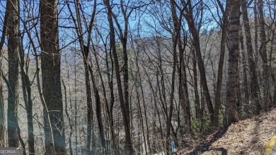 This lot offers great mountain views and Sky Valley city on Sky Valley Resort and Country Club in Georgia - for sale on GolfHomes.com, golf home, golf lot