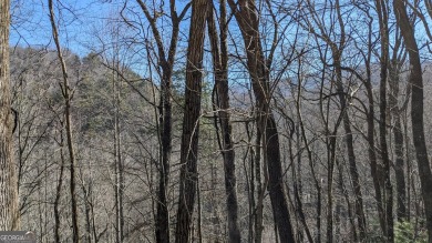 This lot offers great mountain views and Sky Valley city on Sky Valley Resort and Country Club in Georgia - for sale on GolfHomes.com, golf home, golf lot