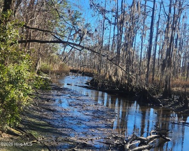 Unlock the potential of this spacious 3,200+ sq ft home tucked on Echo Farms Golf and Country Club in North Carolina - for sale on GolfHomes.com, golf home, golf lot