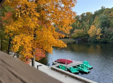 Enchanting Big Canoe Retreat: A Fairy-Tale North Georgia on Big Canoe Golf Club - Cherokee in Georgia - for sale on GolfHomes.com, golf home, golf lot