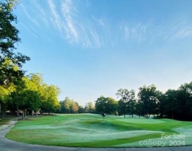 Imagine your dream home on the 6th hole of Old North State on Old North State Club at Uwharrie Point Golf community in North Carolina - for sale on GolfHomes.com, golf home, golf lot