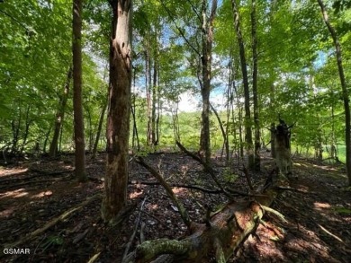 Welcome to Lakeland Subdivision, a hidden gem nestled in the on Baneberry Golf and Resort Club in Tennessee - for sale on GolfHomes.com, golf home, golf lot