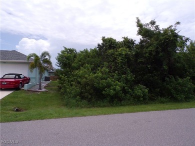 This lot is on a quiet street that would be a great place to on Rotonda Golf and Country Club - Long Marsh  in Florida - for sale on GolfHomes.com, golf home, golf lot