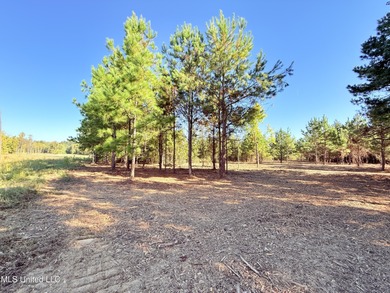 Welcome to The Meadows at Stout Farms! This 5.0-acre lot sits on on  in Mississippi - for sale on GolfHomes.com, golf home, golf lot