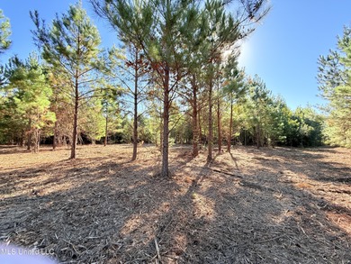 Welcome to The Meadows at Stout Farms! This 5.0-acre lot sits on on  in Mississippi - for sale on GolfHomes.com, golf home, golf lot