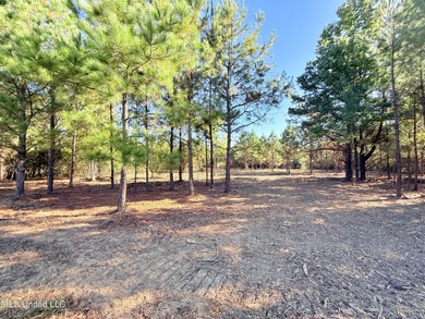 Welcome to The Meadows at Stout Farms! This 5.0-acre lot sits on on  in Mississippi - for sale on GolfHomes.com, golf home, golf lot