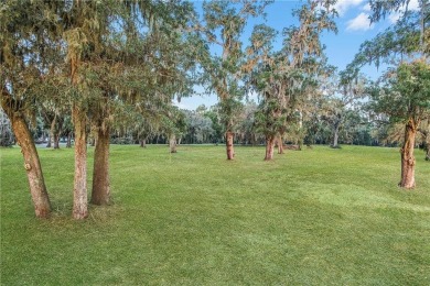 HIGH ELEVATION, WHICH MEANS NO FLOOD INSURANCE.  SPACE,  1.54 OF on Sapelo Hammock Golf Club in Georgia - for sale on GolfHomes.com, golf home, golf lot