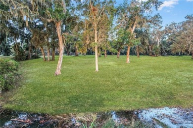 HIGH ELEVATION, WHICH MEANS NO FLOOD INSURANCE.  SPACE,  1.54 OF on Sapelo Hammock Golf Club in Georgia - for sale on GolfHomes.com, golf home, golf lot