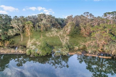 HIGH ELEVATION, WHICH MEANS NO FLOOD INSURANCE.  SPACE,  1.54 OF on Sapelo Hammock Golf Club in Georgia - for sale on GolfHomes.com, golf home, golf lot