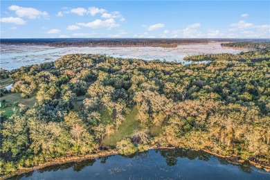 HIGH ELEVATION, WHICH MEANS NO FLOOD INSURANCE.  SPACE,  1.54 OF on Sapelo Hammock Golf Club in Georgia - for sale on GolfHomes.com, golf home, golf lot