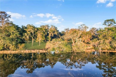 HIGH ELEVATION, WHICH MEANS NO FLOOD INSURANCE.  SPACE,  1.54 OF on Sapelo Hammock Golf Club in Georgia - for sale on GolfHomes.com, golf home, golf lot