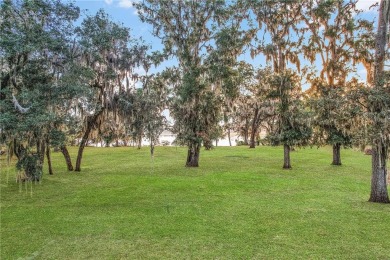 HIGH ELEVATION, WHICH MEANS NO FLOOD INSURANCE.  SPACE,  1.54 OF on Sapelo Hammock Golf Club in Georgia - for sale on GolfHomes.com, golf home, golf lot