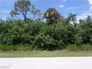 This lot is on a quiet street, that would be a great place to on Twin Isles Country Club in Florida - for sale on GolfHomes.com, golf home, golf lot