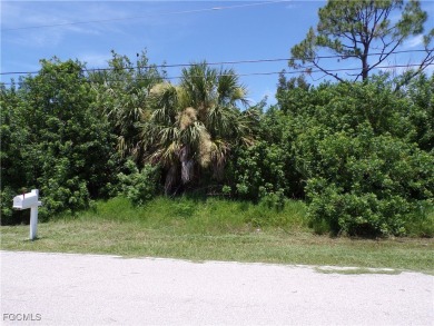 This lot is on a quiet street, that would be a great place to on Twin Isles Country Club in Florida - for sale on GolfHomes.com, golf home, golf lot