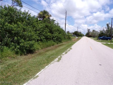 This lot is on a quiet street, that would be a great place to on Twin Isles Country Club in Florida - for sale on GolfHomes.com, golf home, golf lot