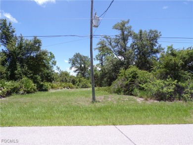 This rare opportunity offers two side-by-side waterfront lots on Rotonda Golf and Country Club - Long Marsh  in Florida - for sale on GolfHomes.com, golf home, golf lot