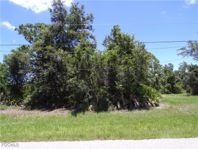 This rare opportunity offers two side-by-side waterfront lots on Rotonda Golf and Country Club - Long Marsh  in Florida - for sale on GolfHomes.com, golf home, golf lot