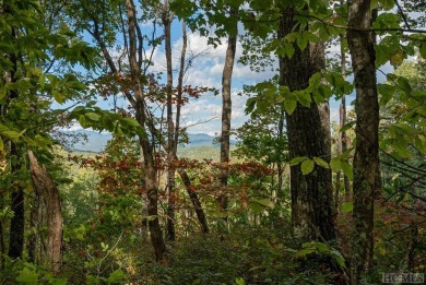 Great view lot in the brand-new section of Cow Mountain within on Natures Walk At Chinquapin in North Carolina - for sale on GolfHomes.com, golf home, golf lot