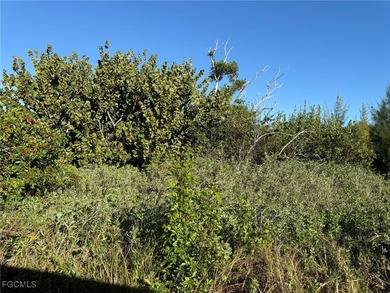 Great Opportunity! Now is Your Chance for a North Captiva Island on Captiva Island Golf Club in Florida - for sale on GolfHomes.com, golf home, golf lot