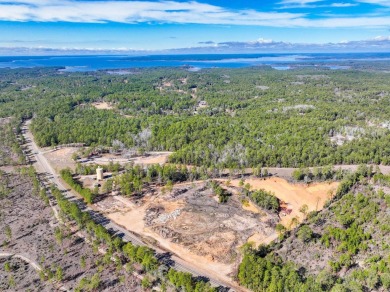 Large development site that could accommodate a variety of uses on Rayburn Country Club in Texas - for sale on GolfHomes.com, golf home, golf lot