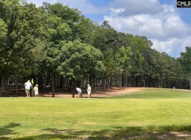 Welcome to White Water Landing, Lake Murray's newest premier on Timberlake Country Club in South Carolina - for sale on GolfHomes.com, golf home, golf lot