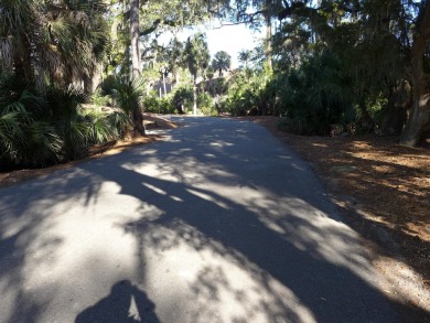 Desirable Duplex Style villa overlooking a scenic pond in gated on The Plantation Course At Edisto in South Carolina - for sale on GolfHomes.com, golf home, golf lot