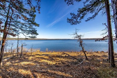 Welcome to your dream retreat--a stunning lakefront home in the on Tannenbaum Golf Club in Arkansas - for sale on GolfHomes.com, golf home, golf lot