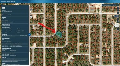 VACANT PARCEL OF LAND IN CITRUS SPRINGS FL. Buildable lot in on Citrus Springs Country Club in Florida - for sale on GolfHomes.com, golf home, golf lot